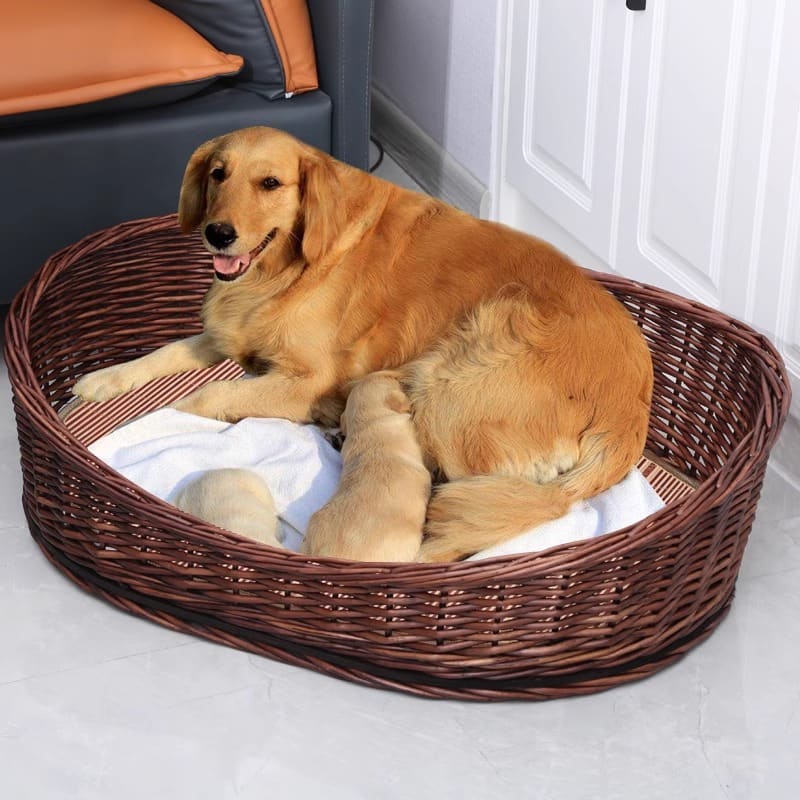 Circle Dog basket bed - Rattan kennel bed - Image 2