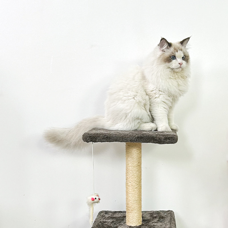 Corner cat tree for small spaces - Image 4