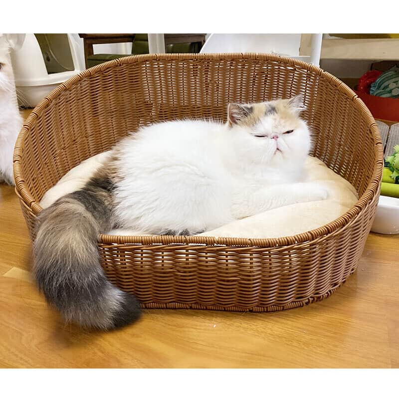 Wicker cute cat beds - warm cat basket bed - Image 4