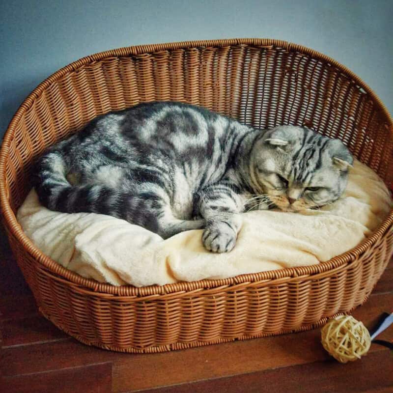 Wicker cute cat beds - warm cat basket bed - Image 6