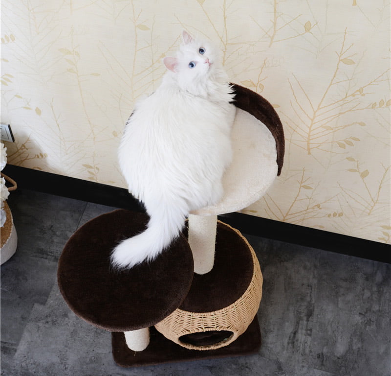 Small cat trees and towers - Image 3