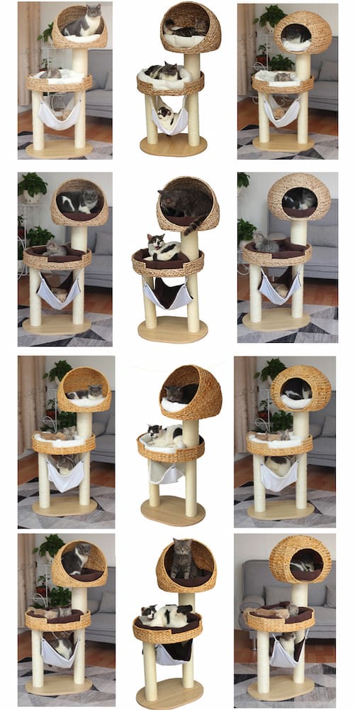 Small cat tree with bed - Image 5