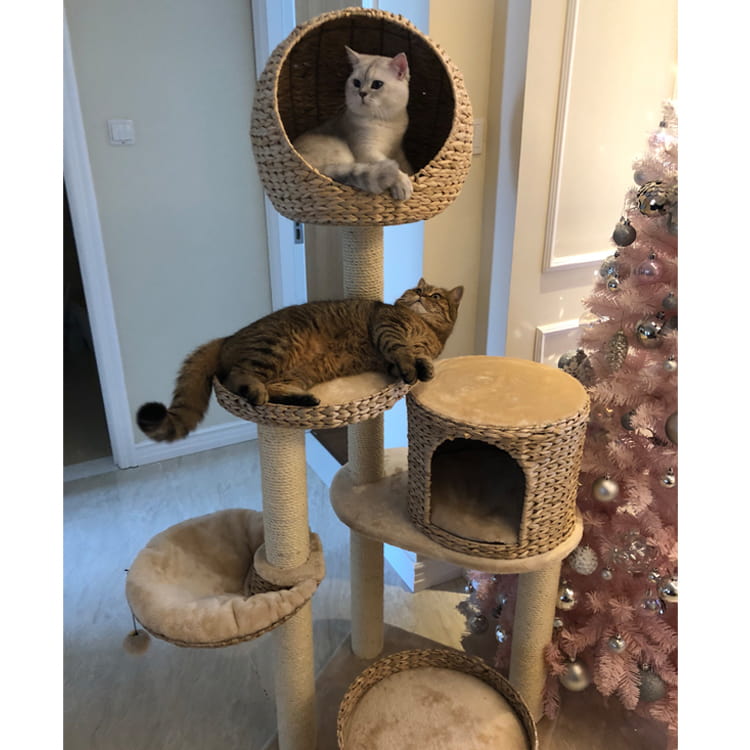 Cat Scratching Post for Cats - Image 5