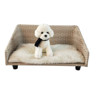 Cat sofa bed - cat furniture for large cats
