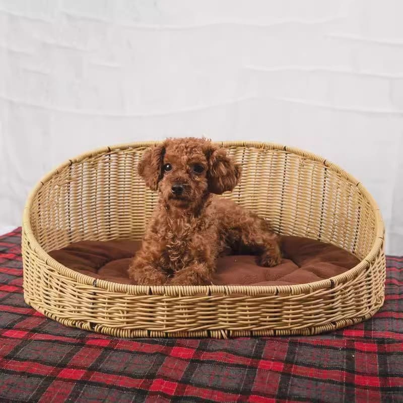 Rattan pet bed for dog - Image 2