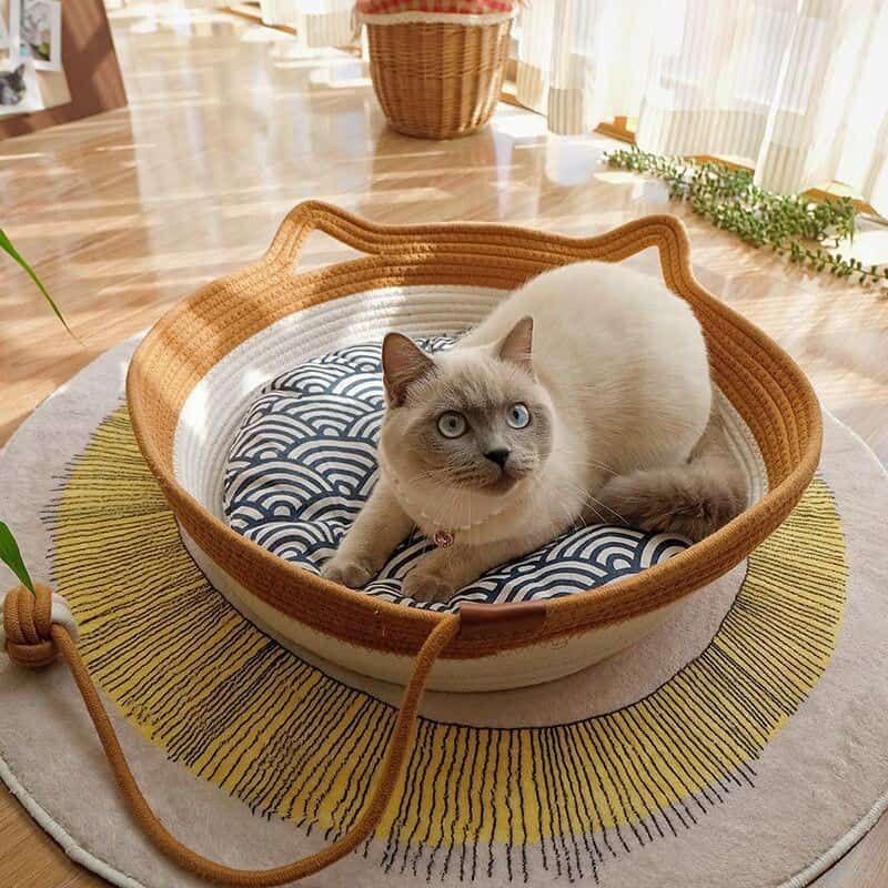 Stylish cat bed for large cat
