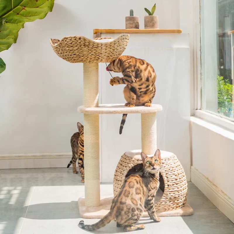 Aesthetic cat tree and scratcher - Image 2