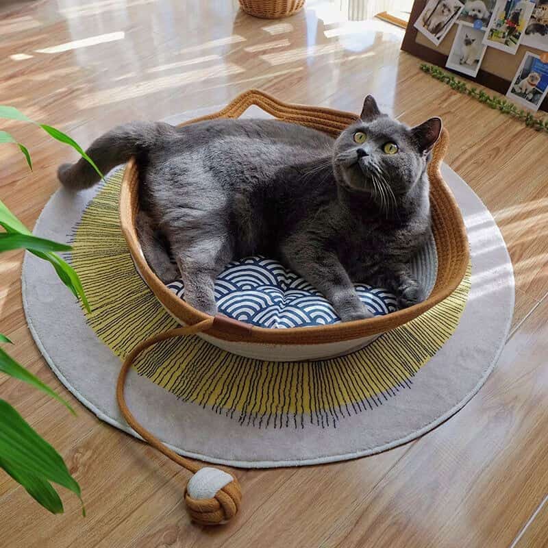 Stylish cat bed for large cat - Image 2