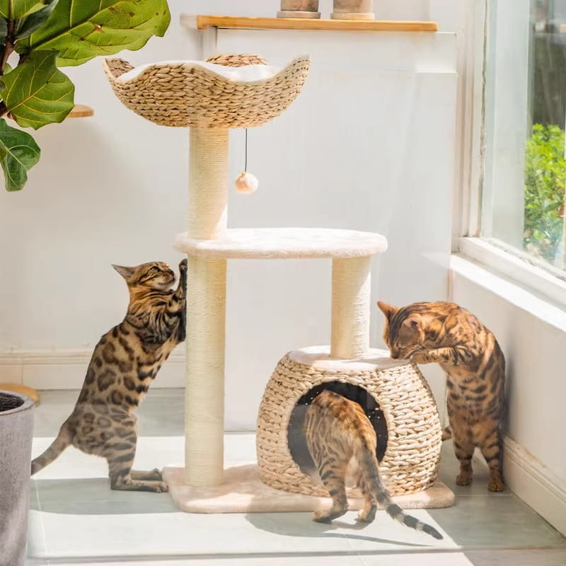 Aesthetic cat tree and scratcher - Image 4