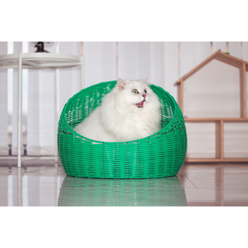 Rattan pet nest - Customizable - Image 5