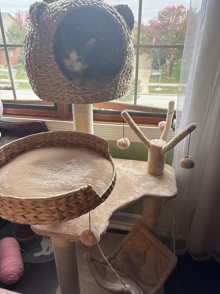 Wooden cat scratching posts with swinging cat bed - Image 4