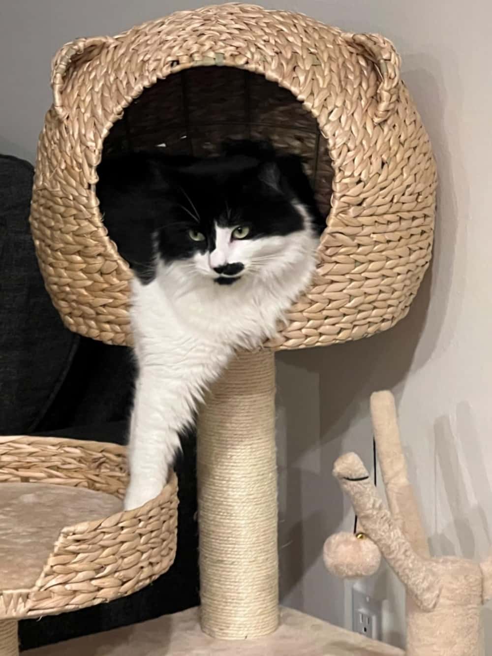 Wooden cat scratching posts with swinging cat bed - Image 2