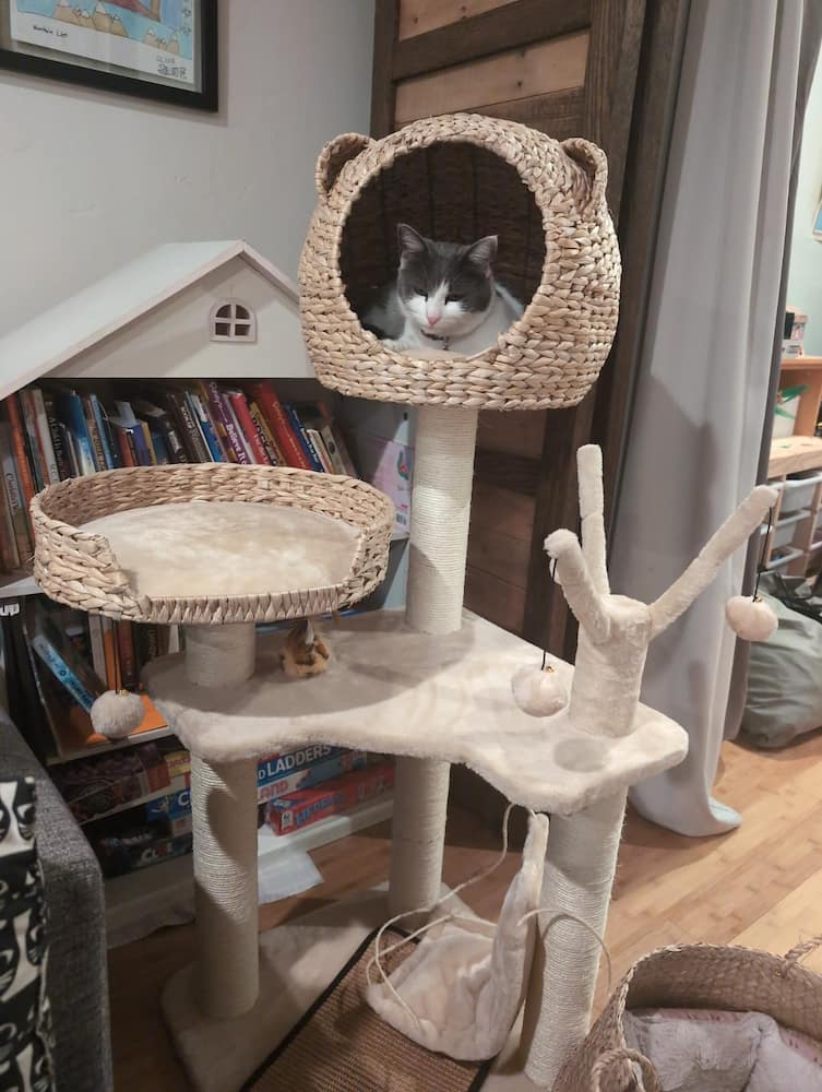 Wooden cat scratching posts with swinging cat bed - Image 3