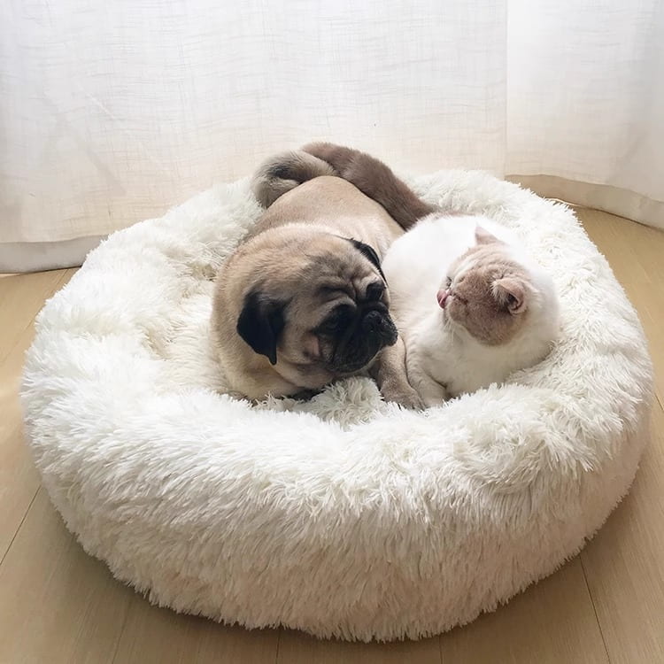 Plush cat bed - circle dog bed - Image 3