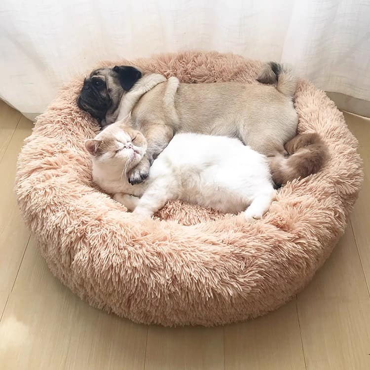 Plush cat bed - circle dog bed - Image 2