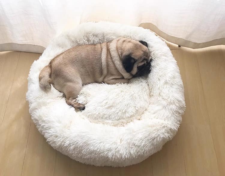 Plush cat bed - circle dog bed